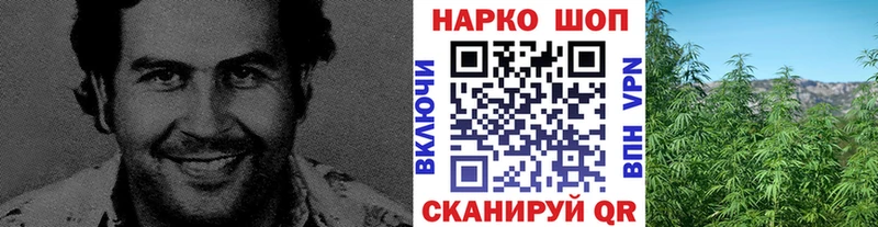 Где купить наркотики Ардон ГАШИШ  Кодеин  Alpha PVP  АМФЕТАМИН  Мефедрон  Конопля  Cocaine 